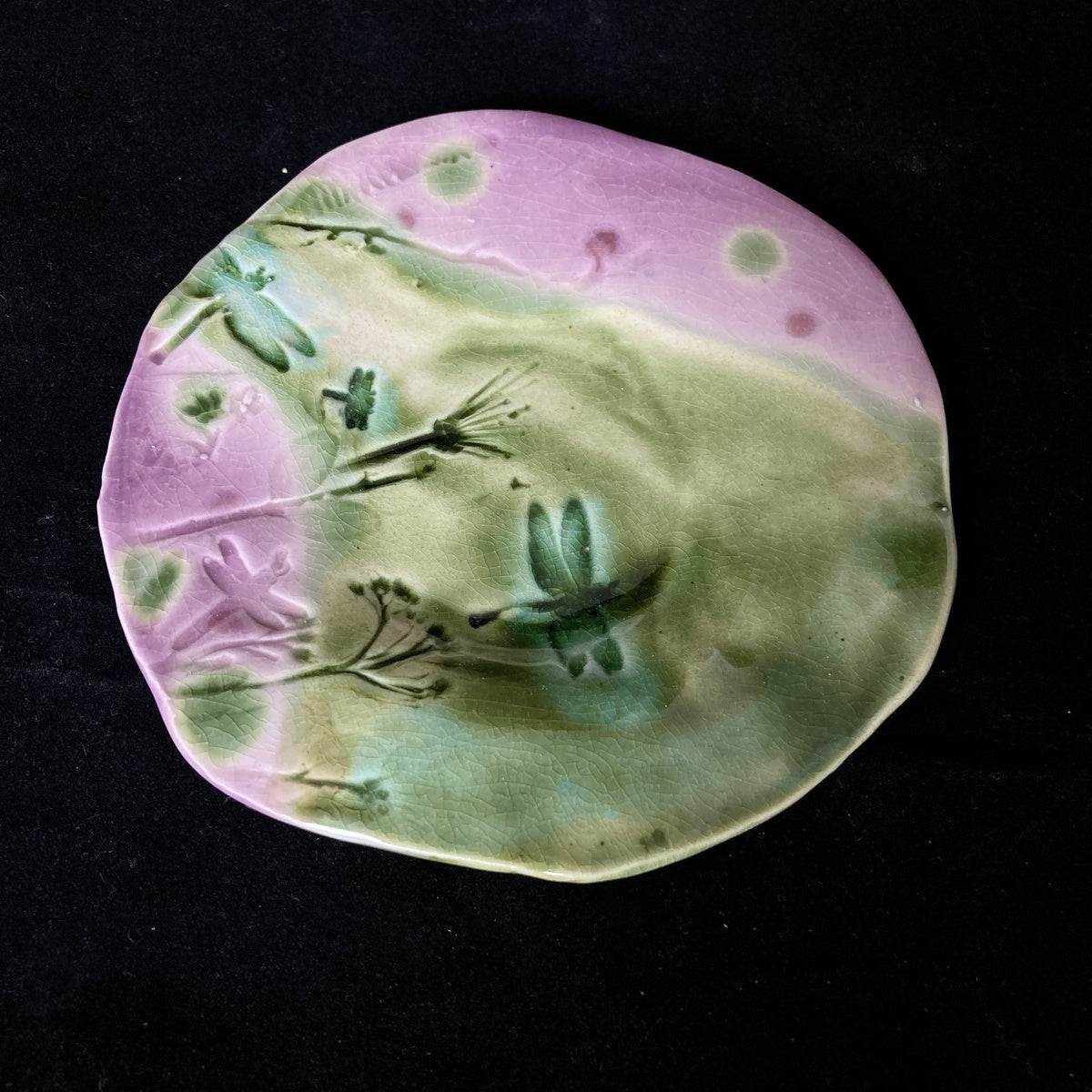 In Vivo, Tanierik zeleno-fialový