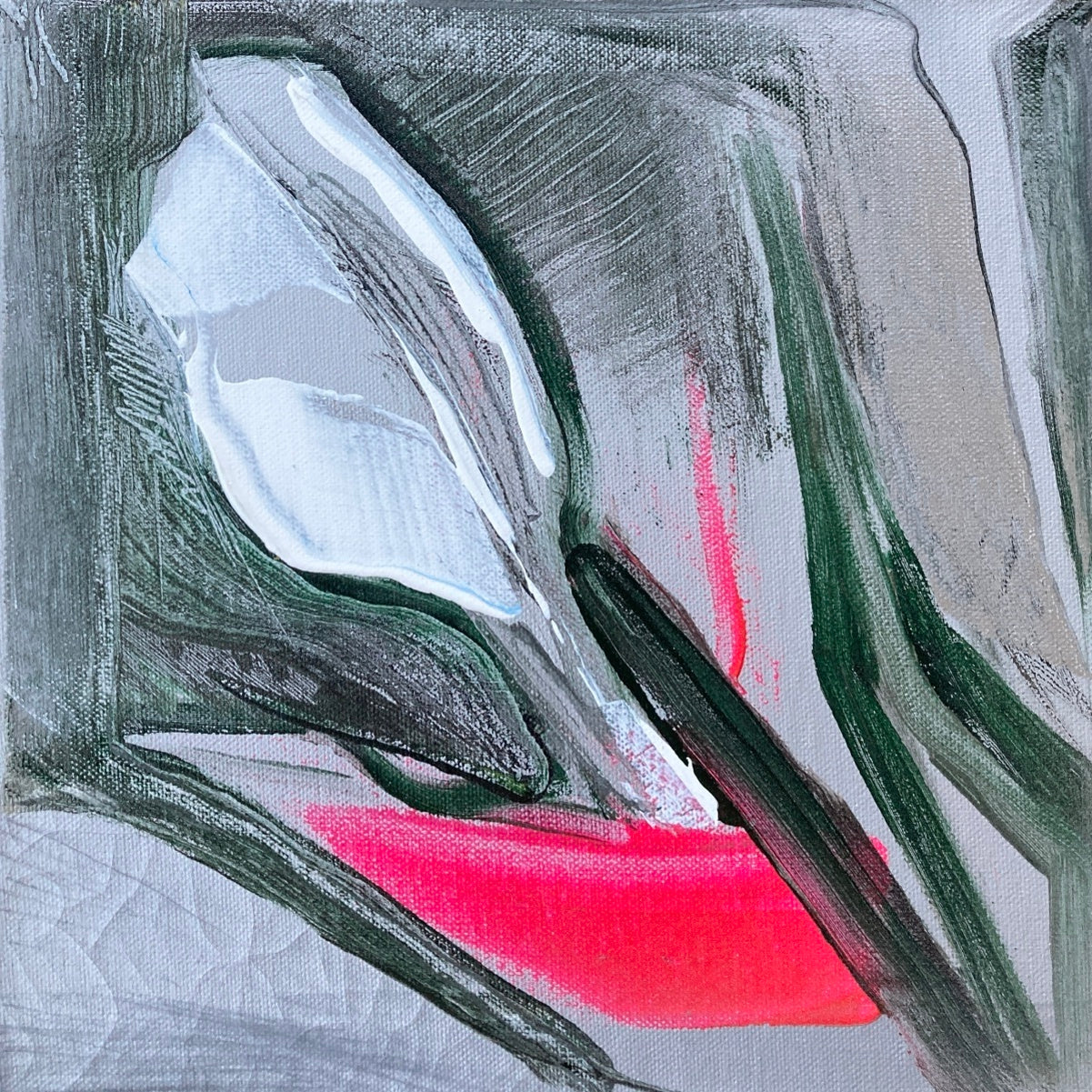 Tibor Andráši, Tulipán
