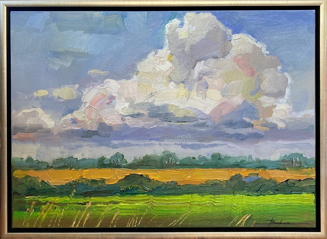 Mykola Bodnár, Žitný ostrov, II