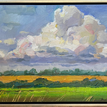Mykola Bodnár, Žitný ostrov, II