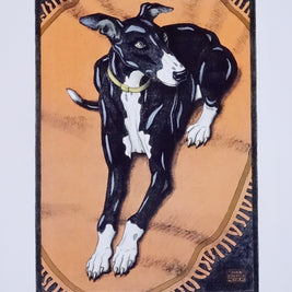 Ivan Kováčik, Greyhound