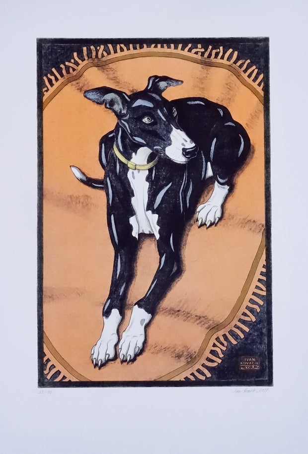 Ivan Kováčik, Greyhound