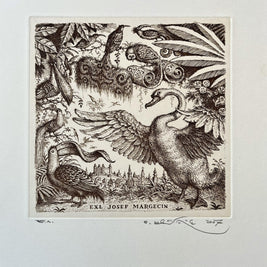 Peter Kľúčik, EXL Josef Margecin, Labuť v Bratislave, 2007