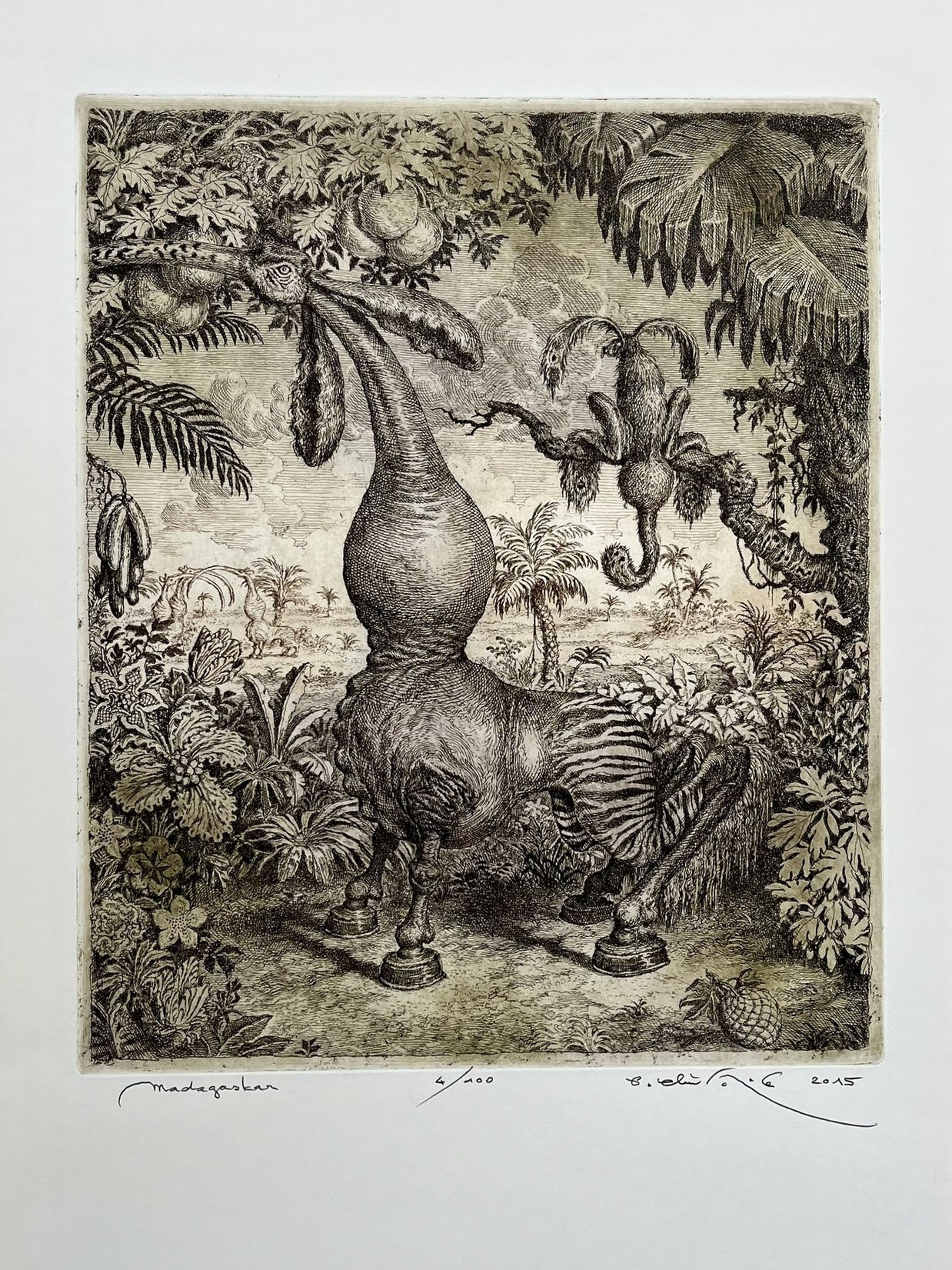 Peter Kľúčik, Madagaskar