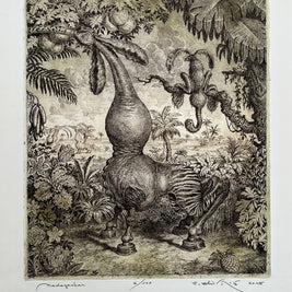 Peter Kľúčik, Madagaskar