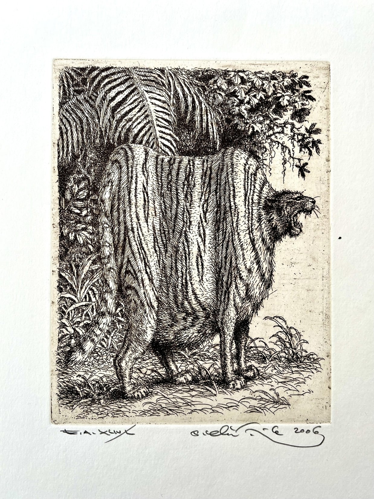 Peter Kľúčik, Tučný tiger