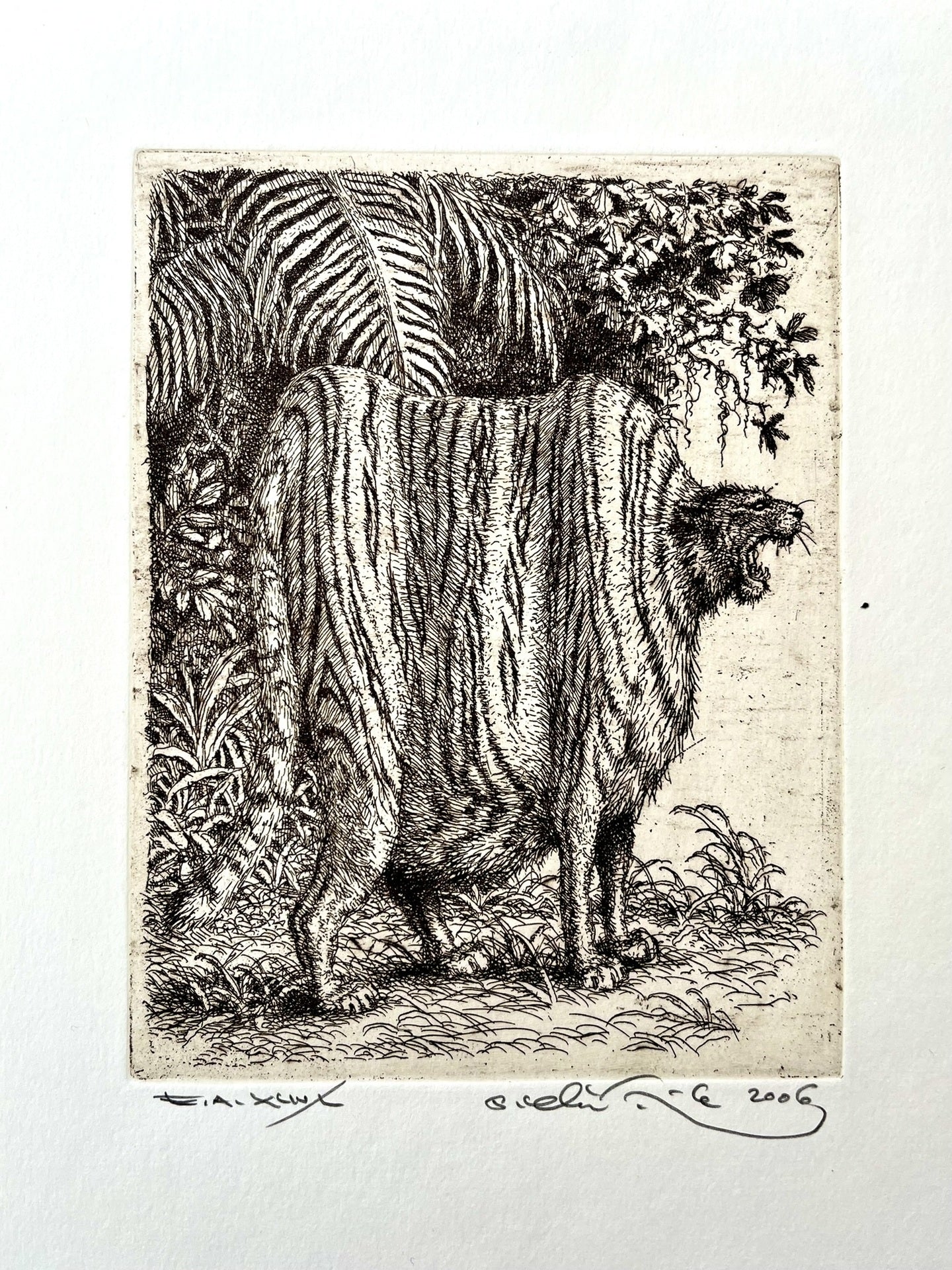 Peter Kľúčik, Tučný tiger