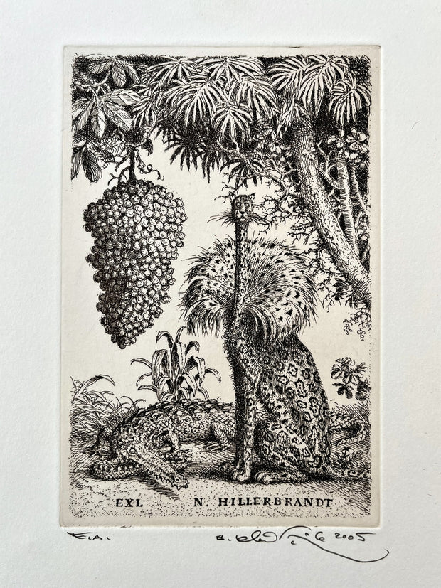 Peter Kľúčik, EXL N. HILLERBRANDT