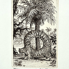 Peter Kľúčik, Tiger v kruhu