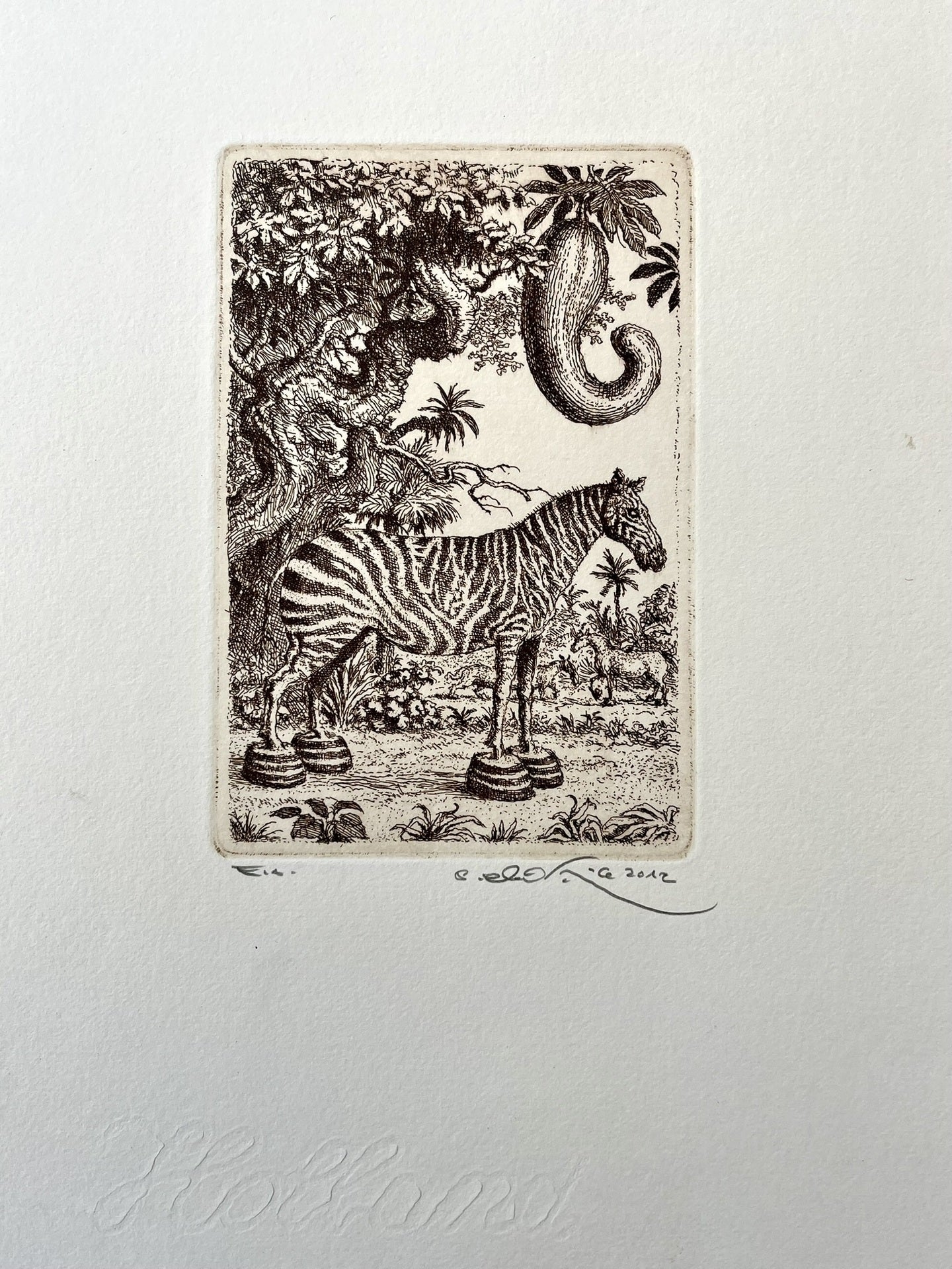 Peter Kľúčik, Zebra