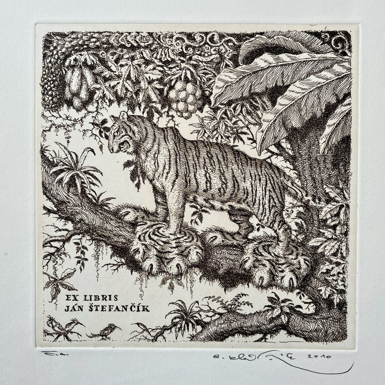 Peter Kľúčik, EX LIBRIS JÁN ŠTEFANČÍK Tiger