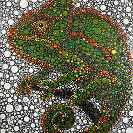 Hana Paulus, Pastel Predator Chameleon