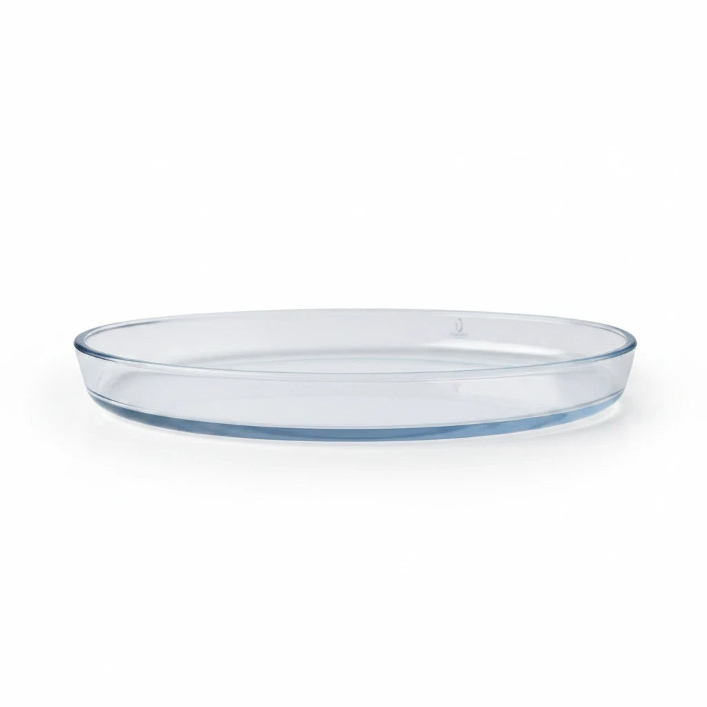 Magis Art Shop large oval glass serving bowl with a clean, timeless design for fruit or snacks