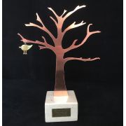Trofeje, dresy
