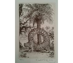 Peter Kľúčik, Tiger - kruh