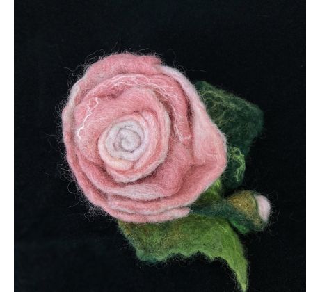 Renáta Kočišová, Brošňa Ruža ružová