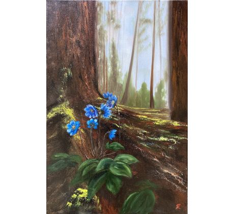 Tatiana Morozová, Prvé kvety - modré