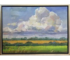Mykola Bodnár, Žitný ostrov, II.