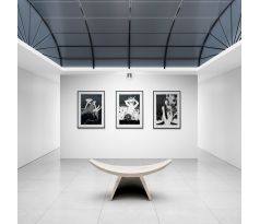 Saša Hudecová, Znamenia zverokruhu