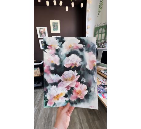 Jane Beata, Pivónia