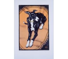 Ivan Kováčik Greyhound