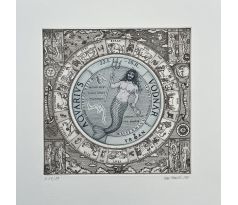 Ivan Kováčik Znamenie zverokruhu Vodnár