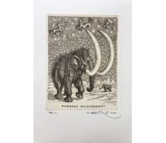 Peter Kľúčik, EXL NORBERT HILLERBRANDT, Mamuty