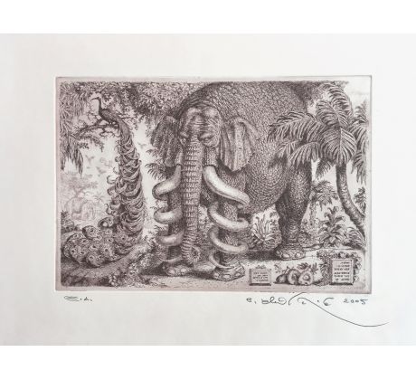 Peter Kľúčik,Slon so zatočenými klami a páv