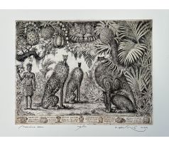 Peter Kľúčik, Neznáma zem