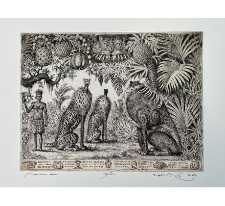 Peter Kľúčik, Neznáma zem