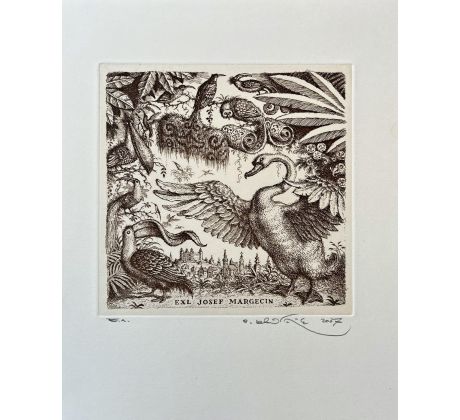 Peter Kľúčik, EXL Josef Margecin, Labuť v Bratislave, 2007