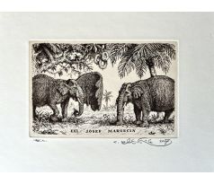 Peter Kľúčik, EXL JOZEF MARGECIN, Dva slony