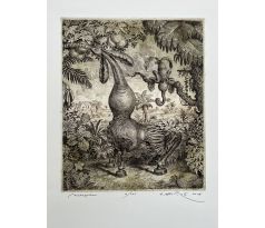 Peter Kľúčik, Madagaskar