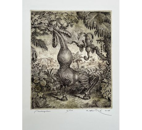 Peter Kľúčik, Madagaskar