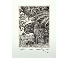 Peter Kľúčik, Objav