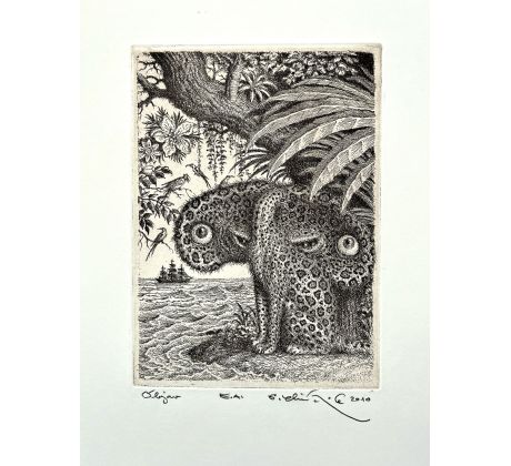 Peter Kľúčik, Objav