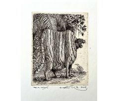 Peter Kľúčik, Tučný tiger