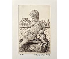 Peter Kľúčik, Chlapec s rybou, BA