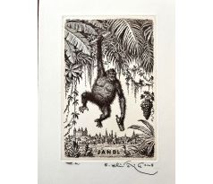 Peter Kľúčik, JANDL Gorila