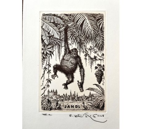 Peter Kľúčik, JANDL Gorila