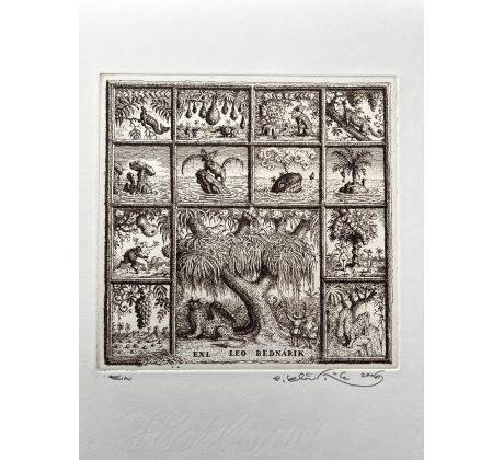 Peter Kľúčik, EXL LEO BEDNÁRIK