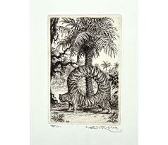 Peter Kľúčik, Tiger v kruhu