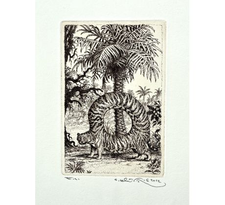 Peter Kľúčik, Tiger v kruhu