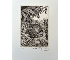 Peter Kľúčik, Leopard hlava