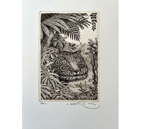 Peter Kľúčik, Leopard hlava