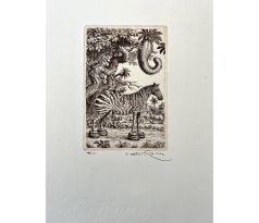 Peter Kľúčik, Zebra