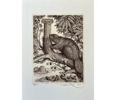 Peter Kľúčik, Bobor