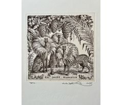 Peter Kľúčik, EXL JOZEF MARGECIN 2007, Tri gepardy