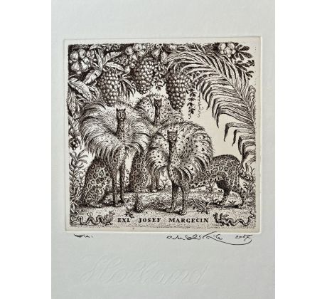 Peter Kľúčik, EXL JOZEF MARGECIN 2007, Tri gepardy