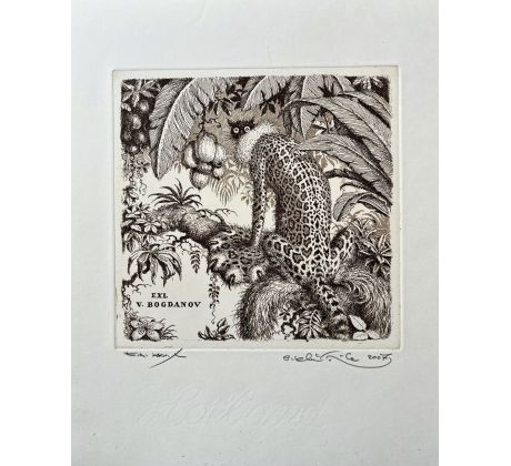 Peter Kľúčik, EXL V. BOGDANOV